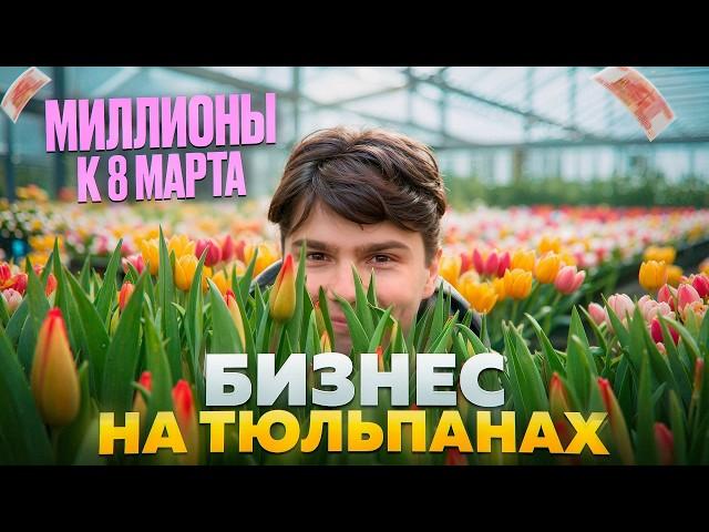 Цветочный бизнес. Выращивание тюльпанов. Выгонка тюльпанов к 8 марта. Бизнес в деревне.