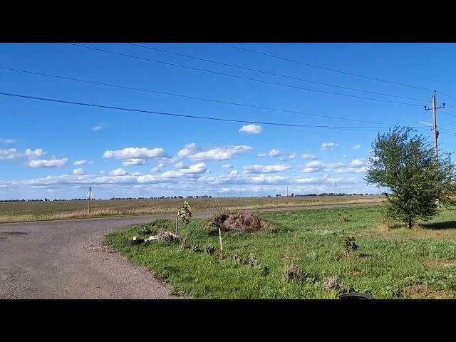 The fields for sunflower in the outskirts of Odessa Ukraine