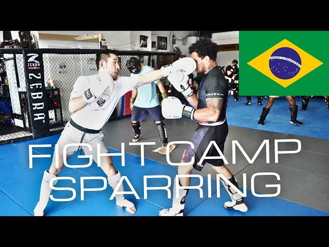 Fight Camp Sparring Footage against Pro MMA Fighter from Brazil