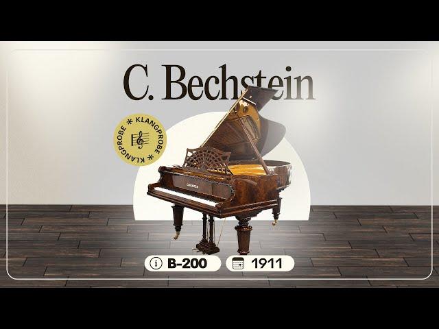 C. Bechstein Flügel, Modell B, Wurzelholz, Baujahr 1911 in der Pianelli Klangprobe mit Johanna