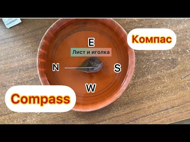 Компас из иголки и листа