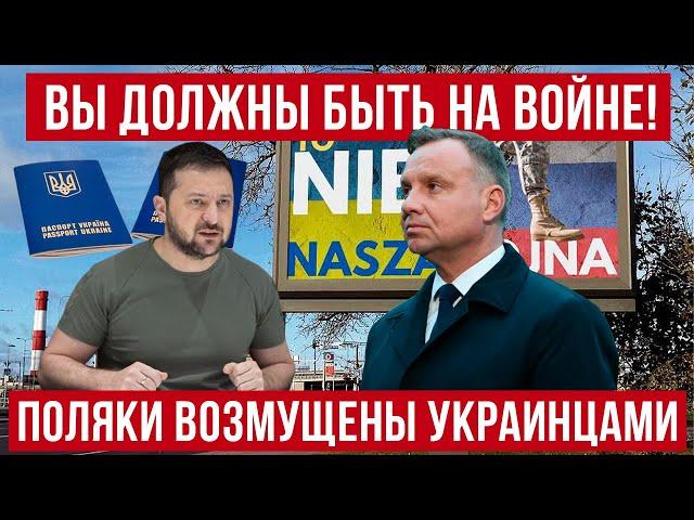 Вы должны ехать на фронт! Поляки возмущены украинцами! Польша новости