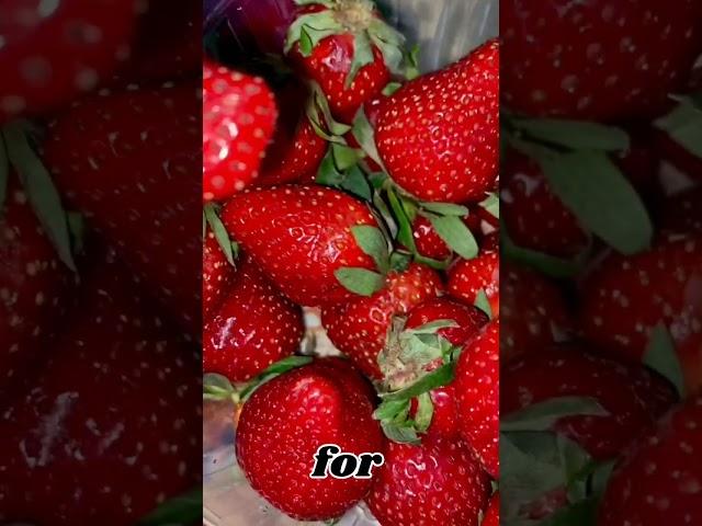 Benefits of red fruits #shortvideo #video #ytshorts #easynutrition #youtuber