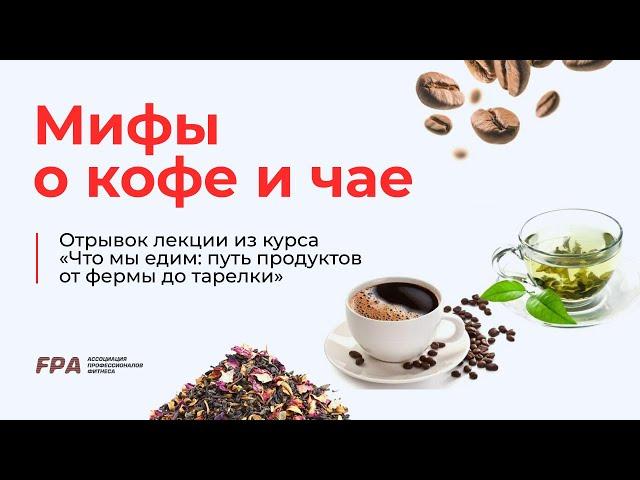 Мифы о кофе и чае | Ассоциация Профессионалов Фитнеса (FPA)