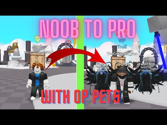 NOOB TO PRO WITH OP PETS (Saber Simulator)