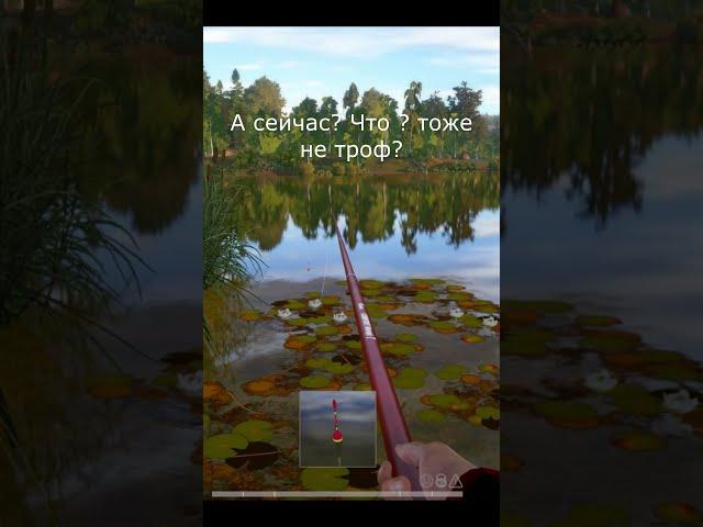 На китайском сервере одни трофеи ловятся !!! Русская рыбалка 4 #shorts #fishing #gaming