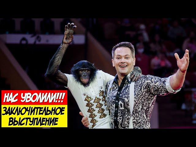 SHOCK!!! GIVEN SPARE FIRED AFTER THIS PERFORMANCE! SHIMPANZE BONYA in the Omsk circus