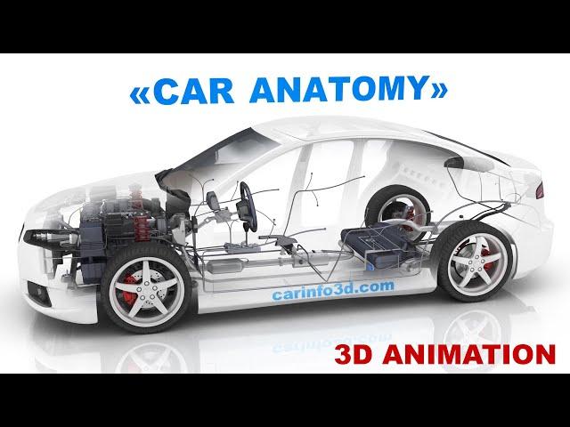 Online video course 'Car Anatomy' - promotional