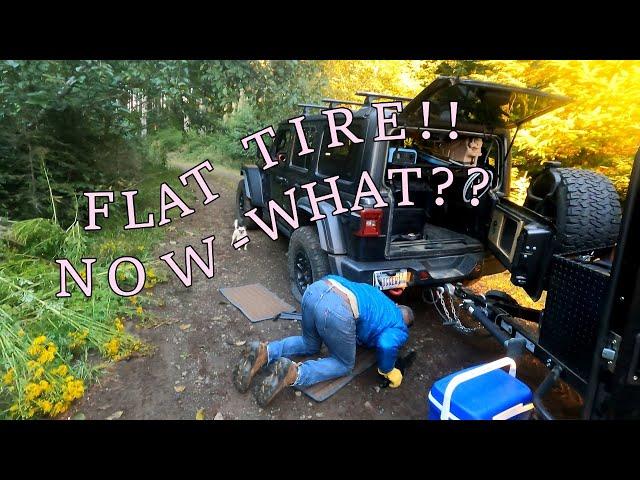 Unexpected Flat Tire Deep in Oregon’s Tillamook Forest!