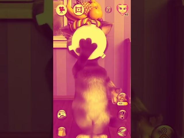 Talking Tom Cat 2 V's Happy Birthday  party  Calor Video #shorts #youtubeshorts #tomc-fansp