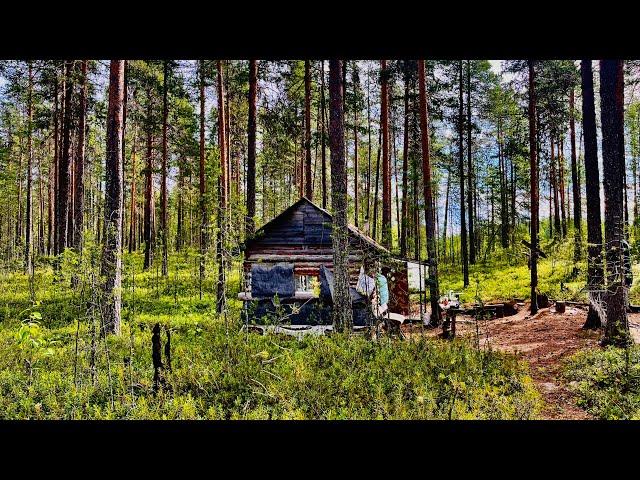 ТАЕЖНАЯ ЖИЗНЬ.ТРИ ДНЯ В ТАЙГЕ.ИЗБУШКА ОТЦА.РЫБАЛКА В СЕВЕРНОЙ КАРЕЛИИ.