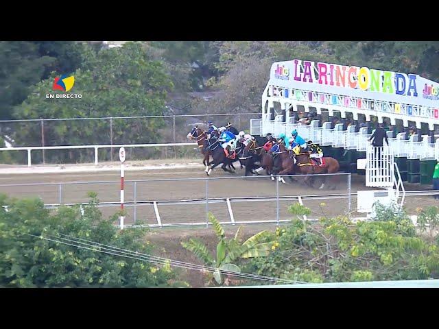 8ª. carrera | 3ª. válida | Bendecida | Hipódromo La Rinconada | Reunión 6 | 2025