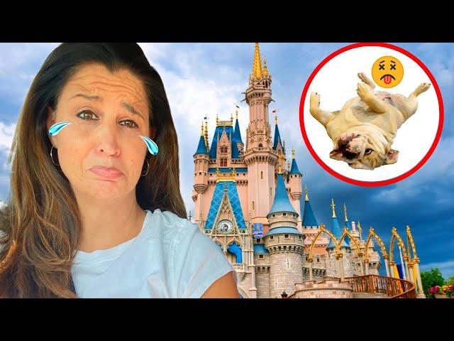 Our DOG ALMOST DIED while WE WERE AT DISNEY WORLD!