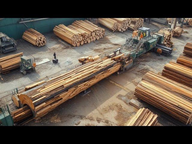 How Large Wooden Cable Drum Is Made. Epic Journeys of Wood: From Forest to Industry ️