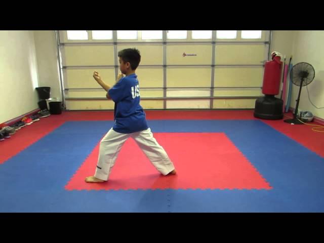 Taekwondo Poomsae 1 - 8 and Black Belt 1st - 9th dan Hollywood Martial Arts Studio Fresno James Chua