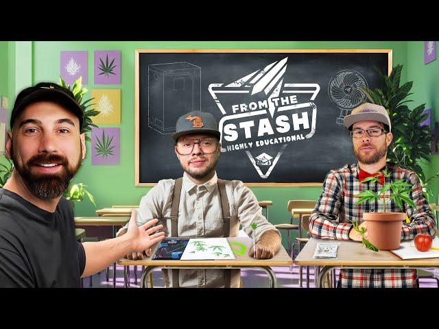 The Complete Guide to Vegetation When Growing Cannabis | From The Stash: Highly Educational Ep. 6