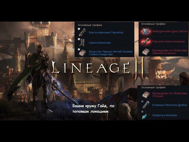 Lineage 2M Гайд БАШНЯ КРУМЫ Топ Споты Для Фарма  / Что Фармить / Где L2M