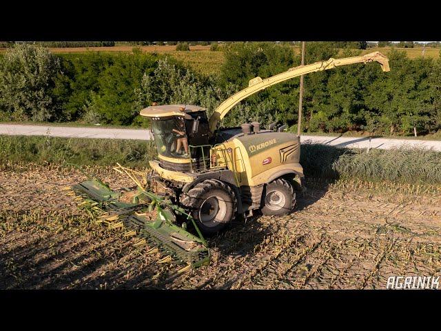 Corn Silage 2021 with Krone BigX 1180 | Team Donola