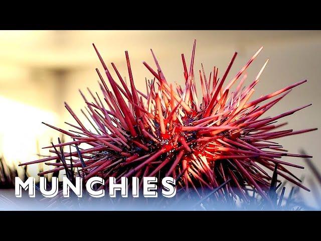 Sea Urchins Are California Gold: Hunter Gatherer