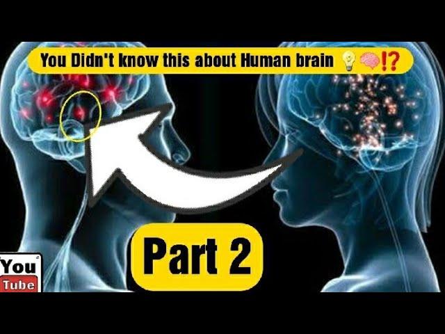 Top 5 Facts About Human Brain [Part 2]