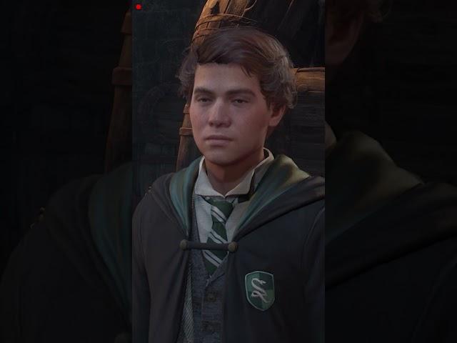 Sebastian Sallow has no idea when to STHAP #hogwartslegacy