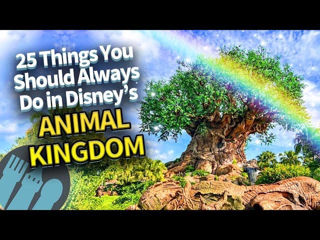 25 Things You Should Always Do in Disney's Animal Kingdom