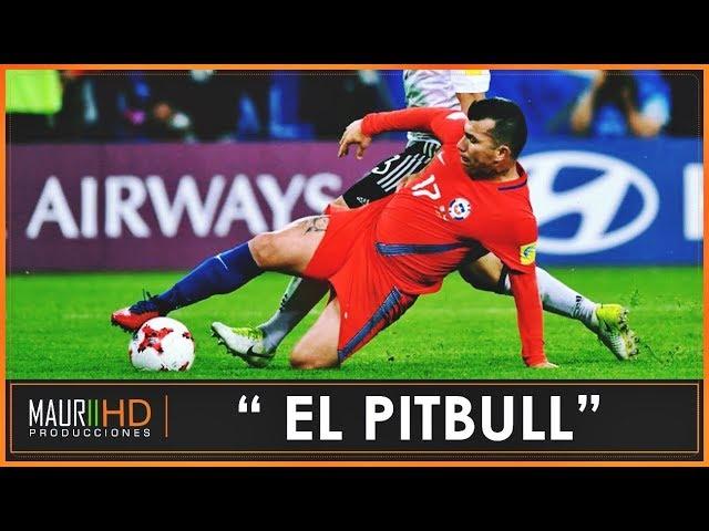 Gary Medel / The Pitbull / Todos Los Tiempos