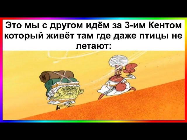 тик ток идёт за кентом | подборка мемов