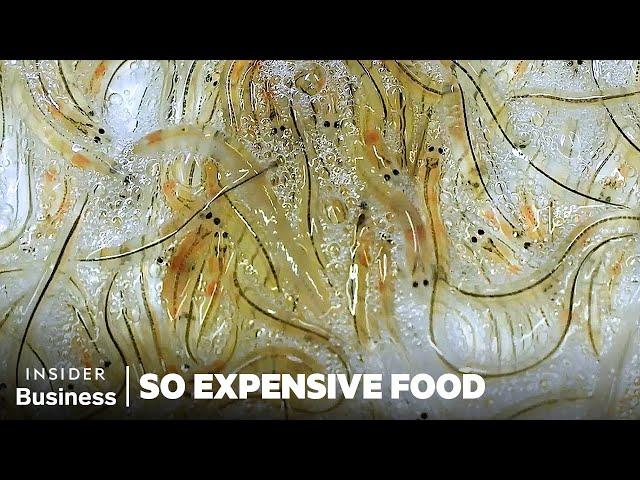 Why Spanish Glass Eels (Angulas) Are So Expensive | So Expensive Food | Insider Business