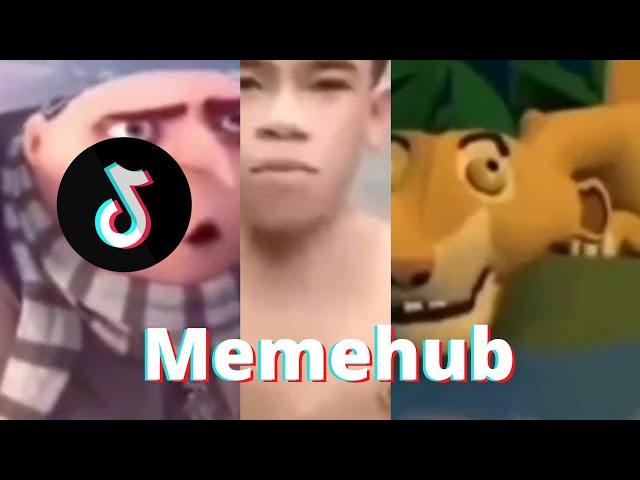 Meme Hub Funniest Tiktok Memes 2022