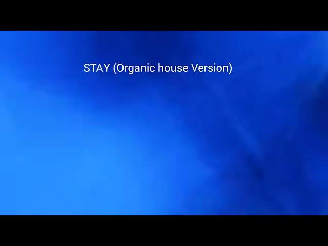 STAY (Organic house Version) BGA