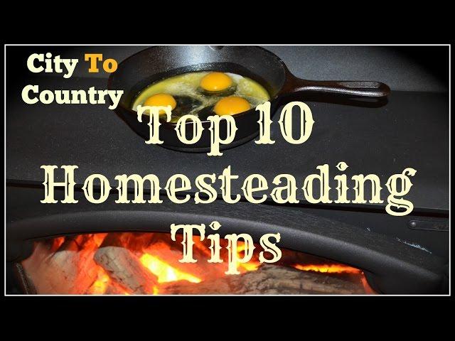 City to Country~Top 10 Homesteading Tips~