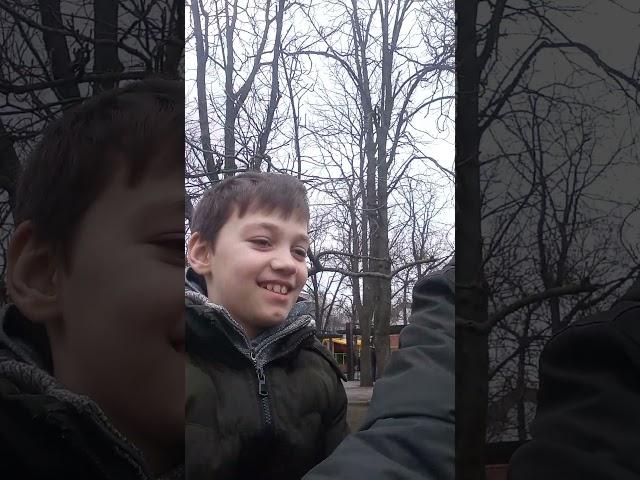 Миколаїв ,каштановий сквер, скажені голуби