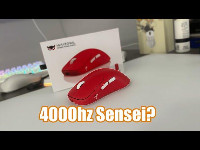 4000hz Sleeper? | Waizowl OGM Cloud Gaming Mouse Review