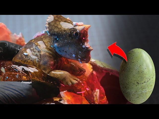 Asking YouTubers to crack my Dinosaur eggs!