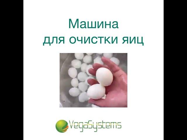Очистка яиц
