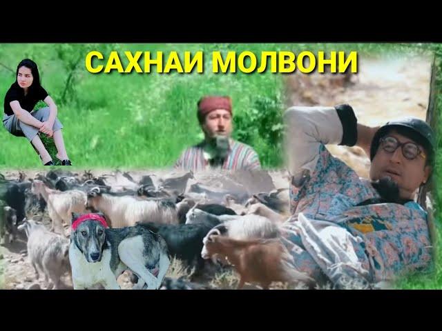 САХНАЧАИ МОЛВОНИ 2023