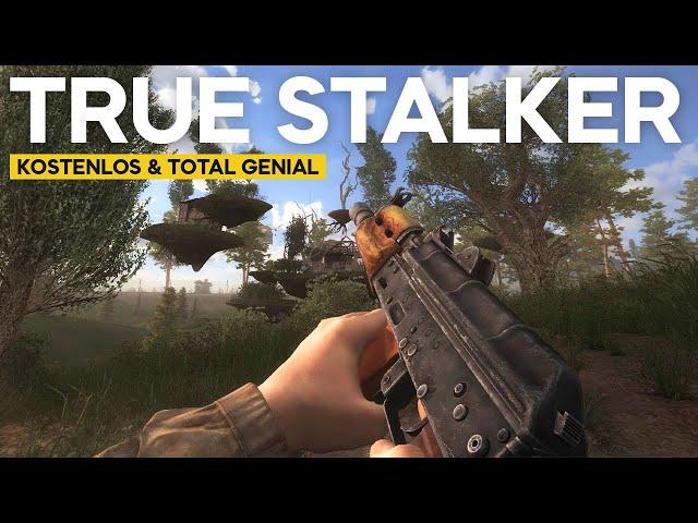 TRUE STALKER - Ein Muss für Stalker 2 & Singleplayer Fans