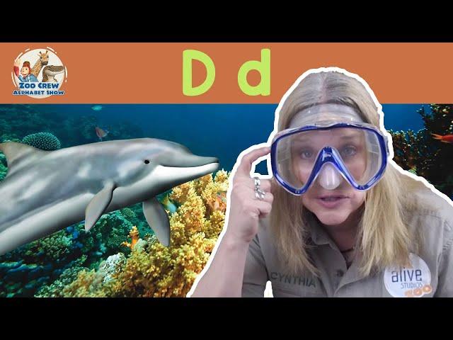 Zoo Crew Alphabet Show | Dolphins and Letter D