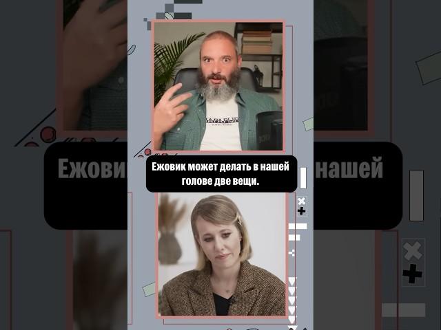Ежовик гребенчатый при депрессии
