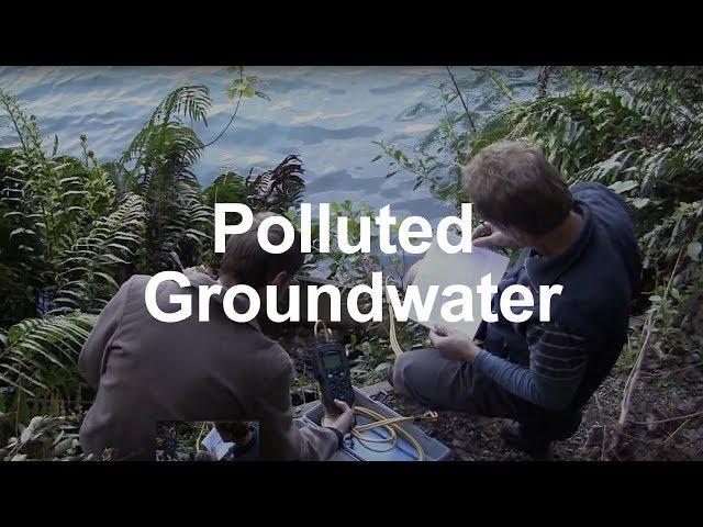 Polluted Groundwater and Lake Rotorua's Future