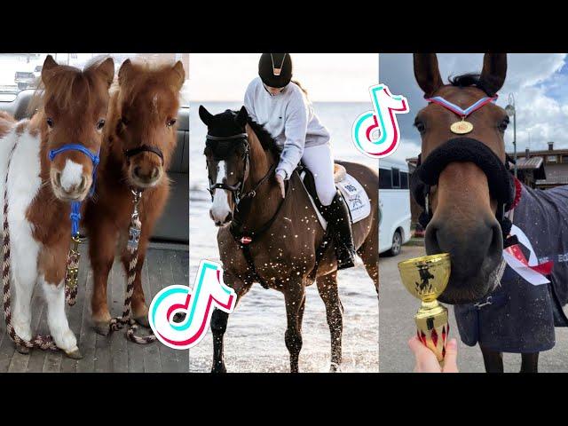 The Cutest HORSES Equestrian TikTok Compilation #103