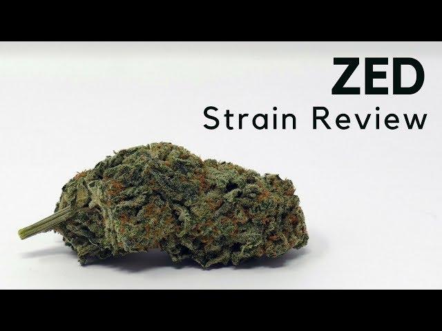 Zed Strain Review - ISMOKE