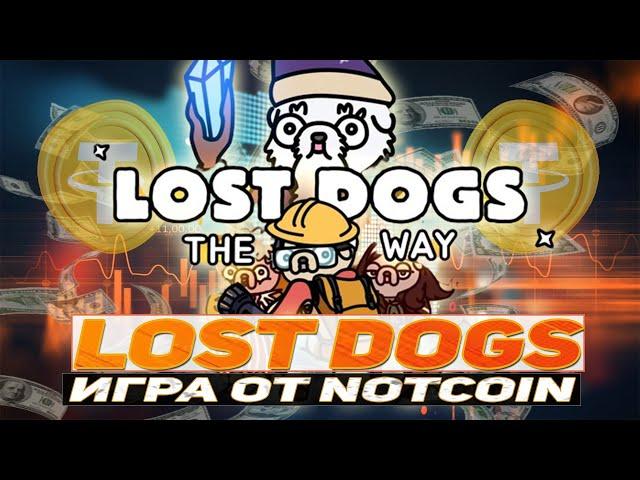 Lost Dogs игра от NOTCOIN как заработать