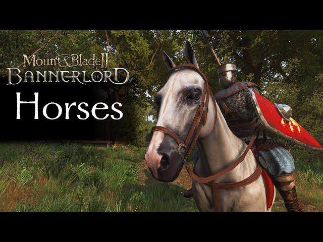 Horses Mod - Bannerlord - Release Trailer