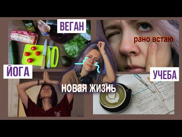 Меняю жизнь за месяц | веган, личный дневник, рано встаю, йога