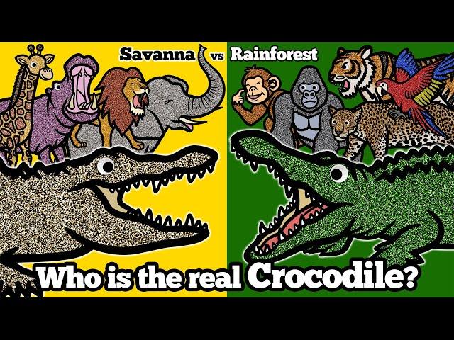 Crocodile Got Lost! Help Me Find My Way Back Home! | Rainforest | Learn Animal Habitats for Kids