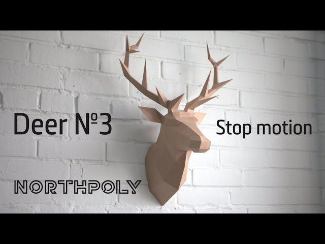 Low poly Deer №3. Papercraft. Stop motion