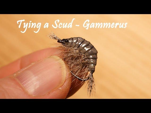 Tying a Scud - Gammarus by William Ensiferum