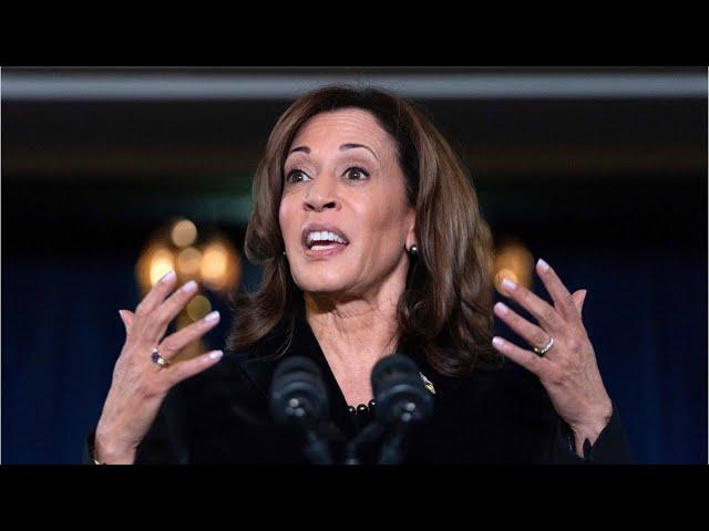 Kamala Harris mocked for recent 'word salad' speech to young voters